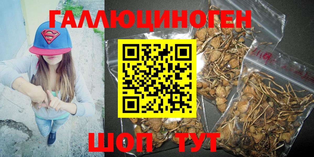 Сафоново  Псилоцибиновые грибы ЛСД  Псилоцибиновые грибы MAGIC MUSHROOMS  Вход с VPN 
